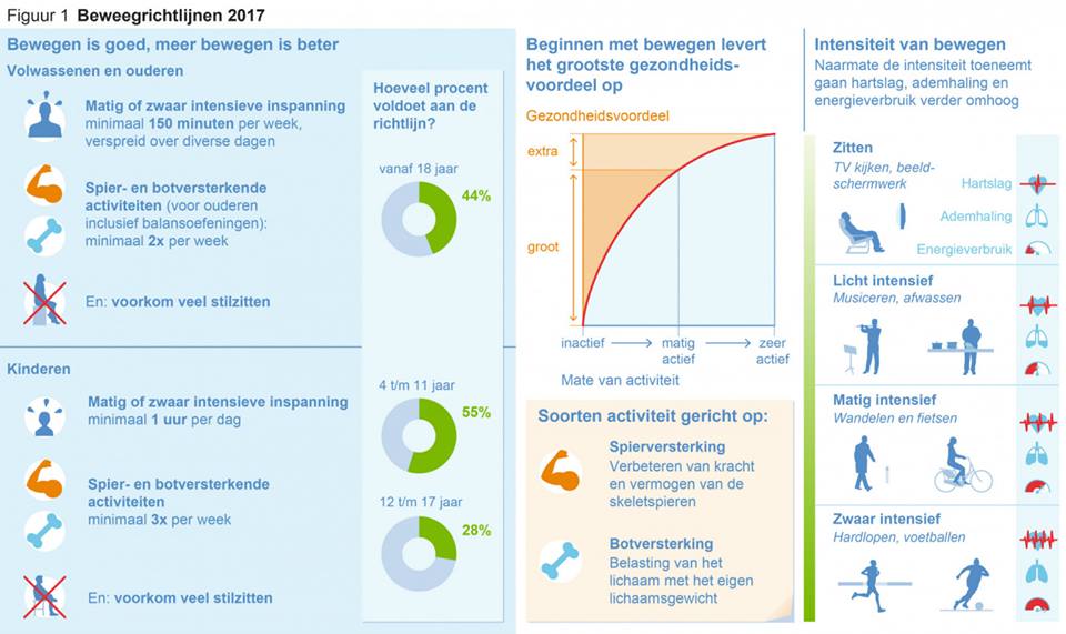 Beweegrichtlijnen 2017